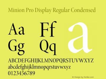 Minion Pro Display Regular Condensed Version 2.030;PS 2.000;hotconv 1.0.51;makeotf.lib2.0.18671 Font Sample