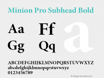 Minion Pro Subhead Bold Version 2.030;PS 2.000;hotconv 1.0.51;makeotf.lib2.0.18671 Font Sample