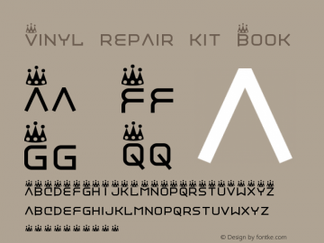 Vinyl repair kit Book Version 2图片样张