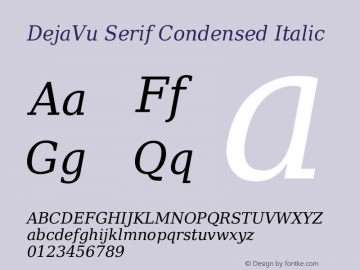 DejaVu Serif Condensed Italic Version 2.34 Font Sample