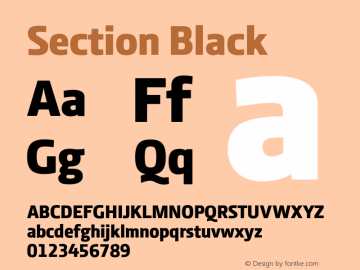 Section Black 2.000图片样张