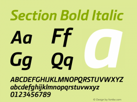 Section Bold Italic 2.000图片样张