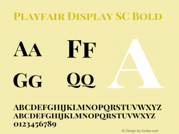 Playfair Display SC Bold Version 1.002;PS 001.002;hotconv 1.0.70;makeotf.lib2.5.58329; ttfautohint (v0.93) -l 42 -r 42 -G 200 -x 14 -w 