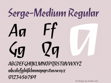 Serge-Medium Regular Version 1.0 Font Sample