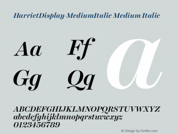 HarrietDisplay-MediumItalic Medium Italic 1.005图片样张