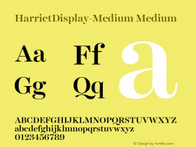 HarrietDisplay-Medium Medium 1.005 Font Sample