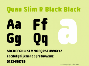 Quan Slim R Black Black Version 1.000图片样张