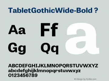 TabletGothicWide-Bold ? 1.000;com.myfonts.type-together.tablet-gothic.wide-bold.wfkit2.4255图片样张