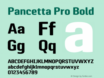 Pancetta Pro Bold Version 001.000 Font Sample