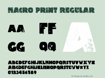 Macro Print Regular Version 1.000 Font Sample
