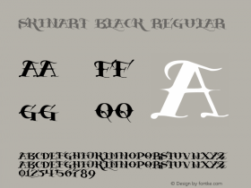 SkinArt Black Regular Version 1.0 Font Sample