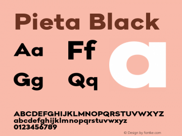 Pieta Black Version 1.000图片样张