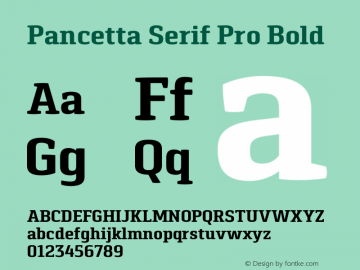 Pancetta Serif Pro Bold Version 001.000图片样张