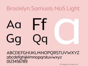 Brooklyn Samuels No5 Light Version 3.001图片样张