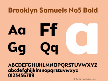 Brooklyn Samuels No5 Bold Version 3.001图片样张