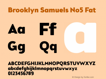 Brooklyn Samuels No5 Fat Version 3.001图片样张