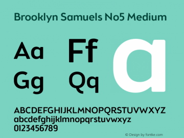Brooklyn Samuels No5 Medium Version 3.001图片样张