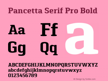 Pancetta Serif Pro Bold Version 1.000图片样张