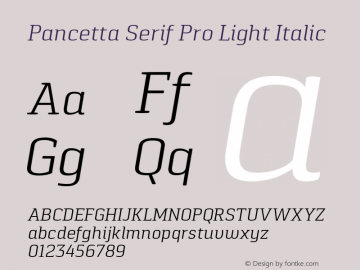 Pancetta Serif Pro Light Italic Version 1.000图片样张