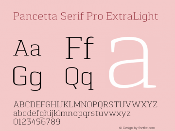 Pancetta Serif Pro ExtraLight Version 1.000图片样张