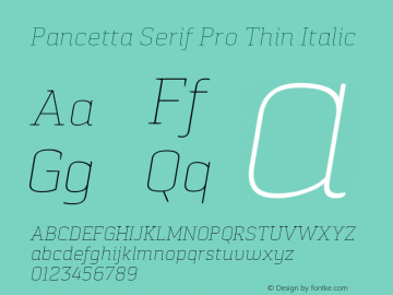 Pancetta Serif Pro Thin Italic Version 1.000图片样张