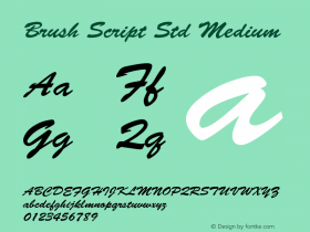 Brush Script Std Medium OTF 1.020;PS 001.003;Core 1.0.31;makeotf.lib1.4.1585图片样张