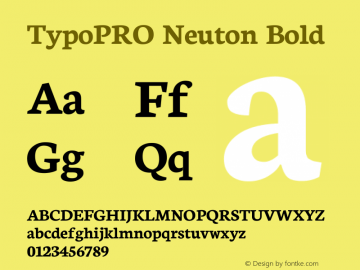 TypoPRO Neuton Bold Version 1.42图片样张