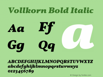 Vollkorn Bold Italic Version 3.001;PS 003.001;hotconv 1.0.70;makeotf.lib2.5.58329图片样张