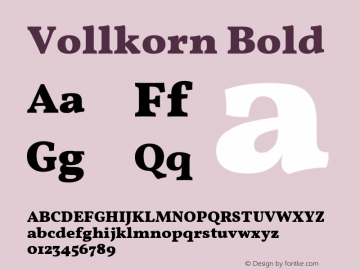 Vollkorn Bold Version 3.001;PS 003.001;hotconv 1.0.70;makeotf.lib2.5.58329 Font Sample