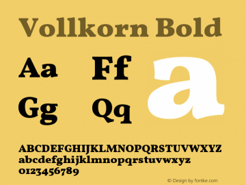 Vollkorn Bold Version 3.001;PS 003.001;hotconv 1.0.70;makeotf.lib2.5.58329 Font Sample