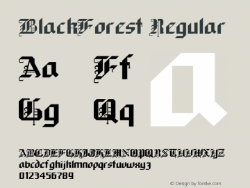 BlackForest Regular Converted from C:\WIN\SYSTEM\ST000203.TF1 by ALLTYPE Font Sample