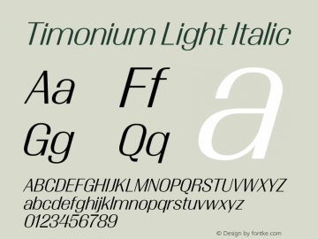 Timonium Light Italic Version 001.003 2013 Font Sample