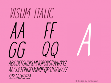 Visum Italic Version 1.000图片样张