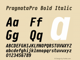 PragmataPro Bold Italic Version 0.817图片样张