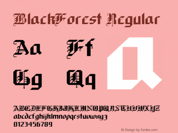 BlackForest Regular Altsys Metamorphosis:12/10/93图片样张