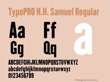 TypoPRO H.H. Samuel Regular Version 1.009图片样张