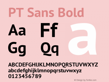 PT Sans Bold Version 1.001图片样张