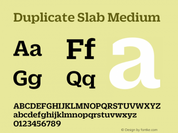 Duplicate Slab Medium Version 1.1 2013 Font Sample