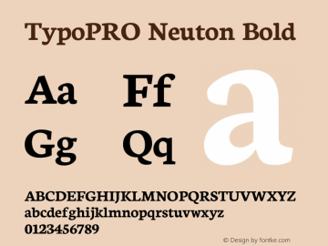 TypoPRO Neuton Bold Version 1.42图片样张