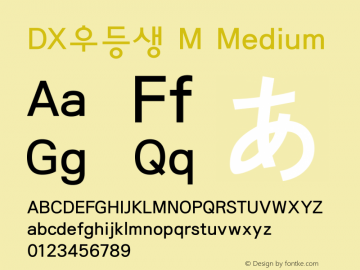 DX우등생 M Medium 001.100图片样张
