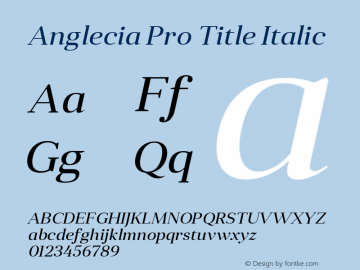 Anglecia Pro Title Italic Version 001.000;com.myfonts.konstantynov.anglecia-pro.title-italic.wfkit2.47ML Font Sample