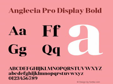 Anglecia Pro Display Bold Version 001.000;com.myfonts.konstantynov.anglecia-pro.display-bold.wfkit2.47Mg图片样张