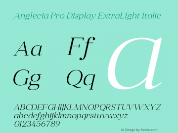 Anglecia Pro Display ExtraLight Italic Version 001.000;com.myfonts.konstantynov.anglecia-pro.display-light-italic.wfkit2.47Mk图片样张