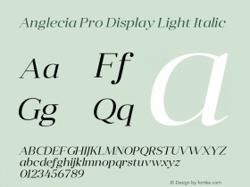 Anglecia Pro Display Light Italic Version 001.000;com.myfonts.konstantynov.anglecia-pro.display-light-italics.wfkit2.47Mw图片样张