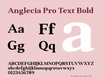 Anglecia Pro Text Bold Version 001.000;com.myfonts.konstantynov.anglecia-pro.text-bold.wfkit2.47MC Font Sample