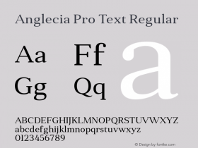 Anglecia Pro Text Regular Version 001.000;com.myfonts.konstantynov.anglecia-pro.text-regular.wfkit2.47Ms Font Sample