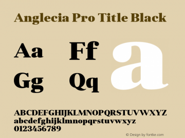 Anglecia Pro Title Black Version 001.000;com.myfonts.konstantynov.anglecia-pro.title-black.wfkit2.47Mv图片样张