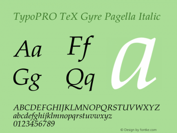 TypoPRO TeX Gyre Pagella Italic Version 2.004;PS 2.004;hotconv 1.0.49;makeotf.lib2.0.14853图片样张