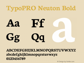 TypoPRO Neuton Bold Version 1.42图片样张