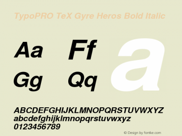 TypoPRO TeX Gyre Heros Bold Italic Version 2.004;PS 2.004;hotconv 1.0.49;makeotf.lib2.0.14853图片样张